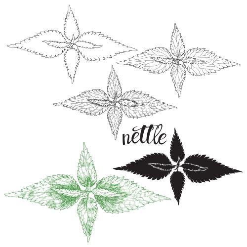 Vektorgrafik klette, fünf varianten auf weißem