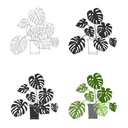Gegenstand. Vektor Monstera in Töpfen, Variationen auf weiß