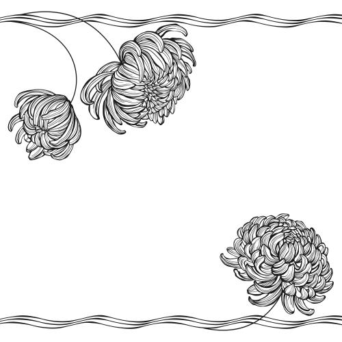 Chrysantheme. Vektor chrysanthemen Wellenlinien Platz Für Text Auf Weiß