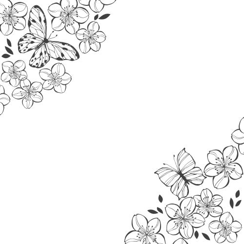 Kirschblüte. Vektor Kirschblüten und Schmetterlinge, Textfläche auf weißem, eckige Komposition
