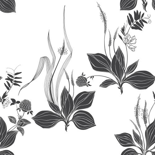Vektorgrafik gänseblümchen, klee, wiesenkräuter und blumen auf weißem