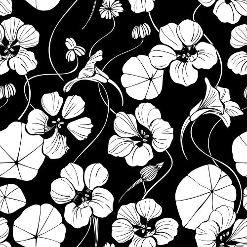 Kapuzinerkresse. Vektor Nasturtium, weiße Silhouetten auf schwarzem