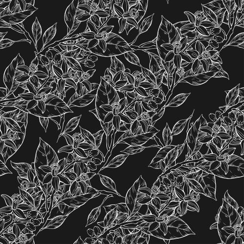 Neroli. Vektor Neroli, weiße Konturen auf schwarzem