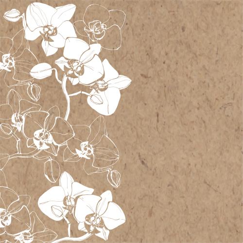 Orchidee. Vektor Orchideen, weiße Konturen und Silhouetten, Platz für Text auf Kraft