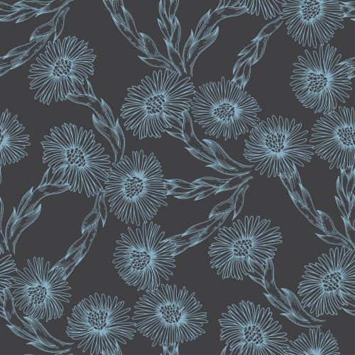 Huflattich. Vektor blumen Mutter-und-Stiefmutter, blaue Konturen auf dunkelgrau