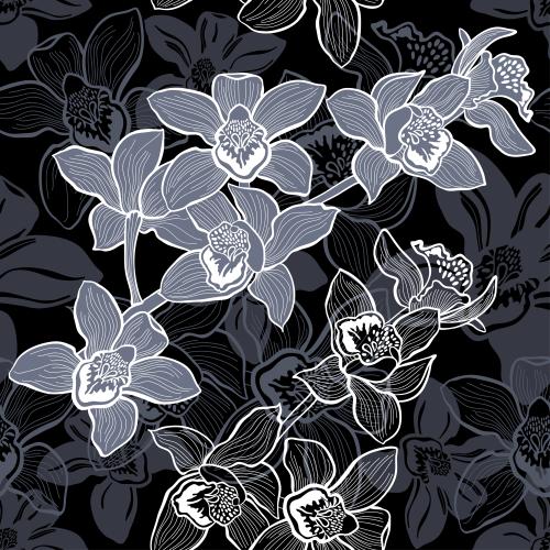 Orchidee. Vektor monochromen Orchideenblumen, Konturen und Silhouetten auf schwarzem