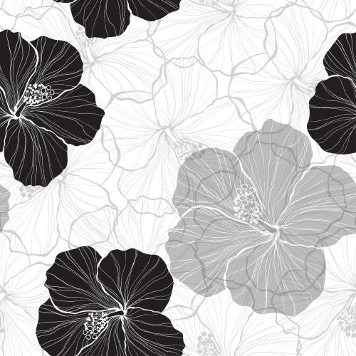Hibiskus. Vektor monochrome Silhouetten und Konturen von Hibiskusblüten auf weißem