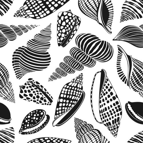 Vektorgrafik muscheln, schwarze silhouetten auf weißem
