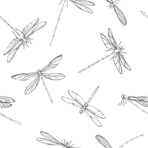 Libelle. Vektor libellen auf weissm
