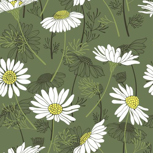 Vektorgrafik gänseblümchen auf grünem