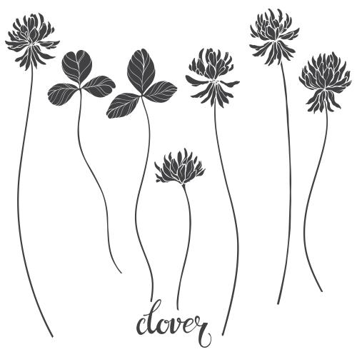 Vektorgrafik klee, blumen und blätter, schwarze silhouetten auf weißem