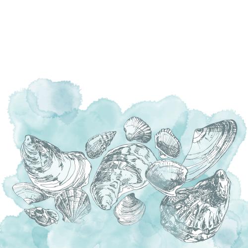 Vektorgrafik muscheln auf dem aquarellfragment, platz für text auf dem weißen