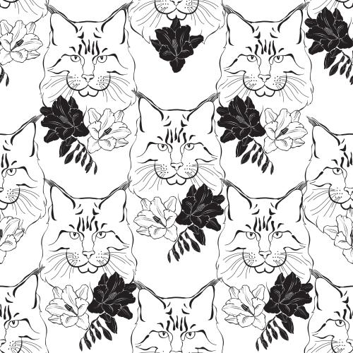 Maine coon. Vektor maine Coon, Katzenmuster und Freesien auf weißem
