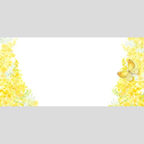Rasterbild aquarellmimose, schmetterling, platz für text auf weißem