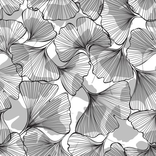 Ginkgo biloba. Vektor Ginkgo biloba, schwarze Konturen und graue Silhouetten von Blättern auf weißem