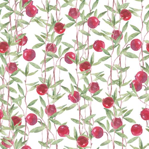 Kranbeere. Vektor aquarellzweige mit Kranbeeren auf weißem