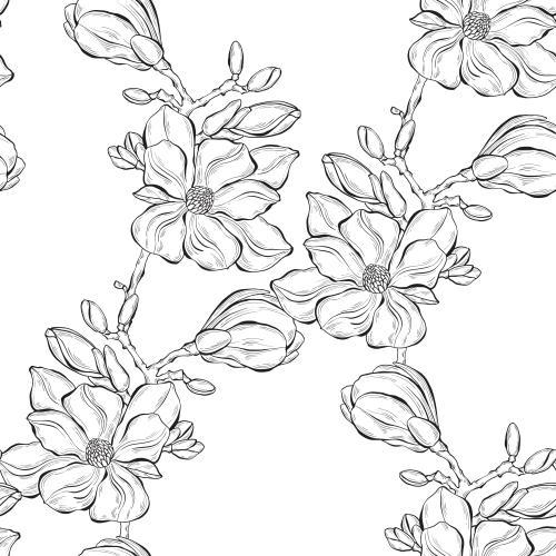 Vektorgrafik magnolie, konturierende blumen auf weißem
