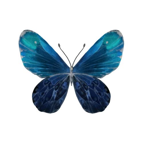 Rasterbild aquarellschmetterling in blauen tönen auf weißem