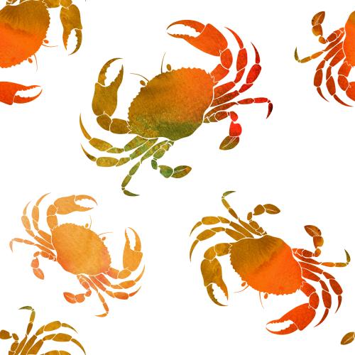 Krabbe. Vektor aquarellkrabben auf weißem