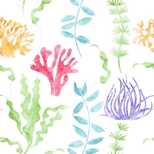 Rasterbild aquarellunterwasserpflanzen auf weissem