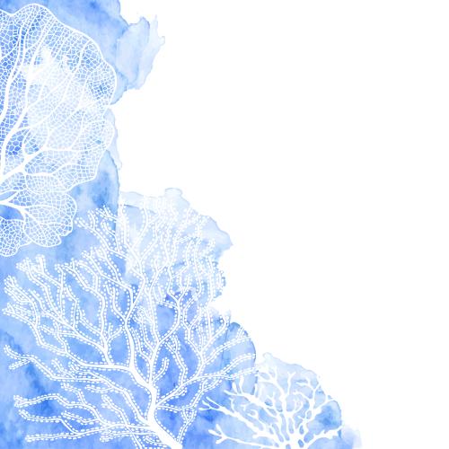 Vektorgrafik korallen auf dem blauen aquarellfragment, textplatz auf dem weißen