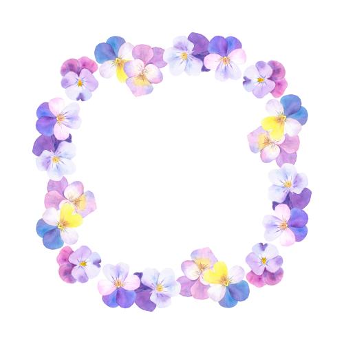 Rasterbild aquarell-ani-blumen, rahmen-kranz auf weißem