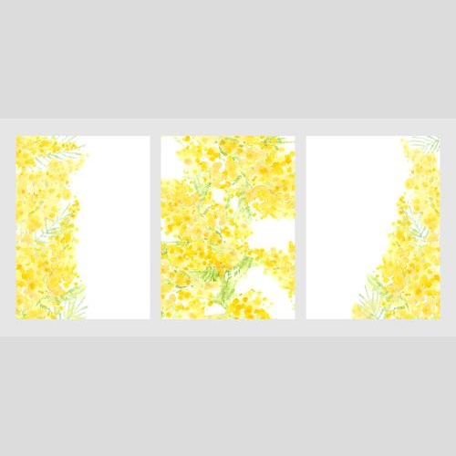 Rasterbild drei karten mit aquarell-mimosen