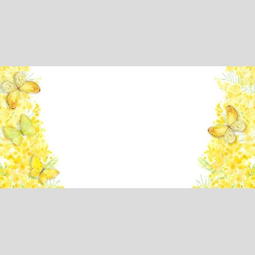 Rasterbild aquarellmimose, schmetterlinge, platz für text auf weiß