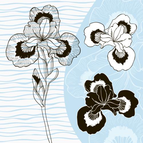 Iris. Vektor Komposition mit monochromen Blumen der Iris