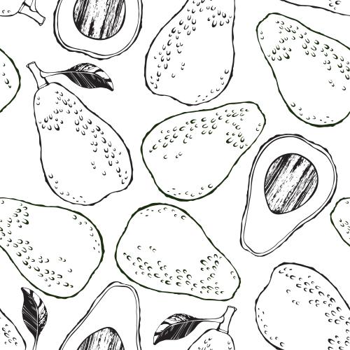 Gemüse. Vektor monochrom Avocados, ganz und Hälften auf weißem