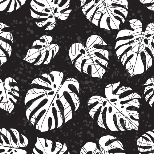 Klecks. Vektor Blätter der Monstera, Silhouetten, Konturen auf strukturiertem schwarzem