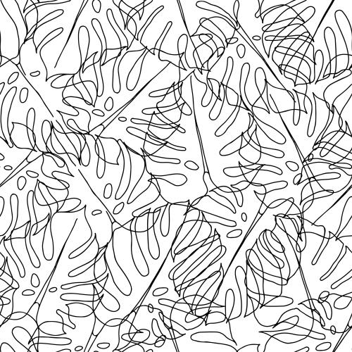 Monstera. Vektor Monstera Blätter, schwarze Konturen auf weißem