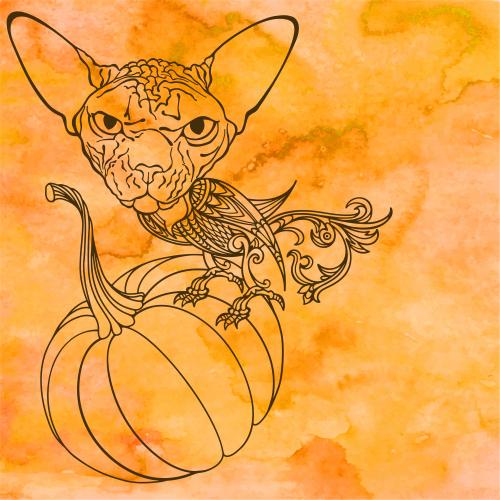 Vektorgrafik fantasietier mit katzenkopf und vogelkörper sitzend auf einem kürbis textplatz auf orangefarbigem aquarell
