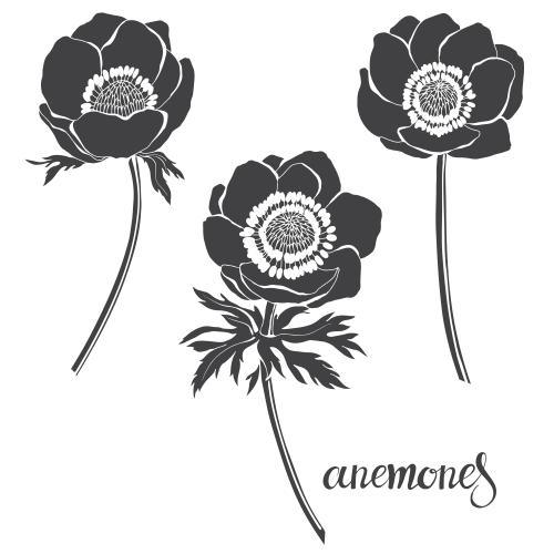 Anemone. Vektor Anemone, schwarze Silhouetten auf weißem