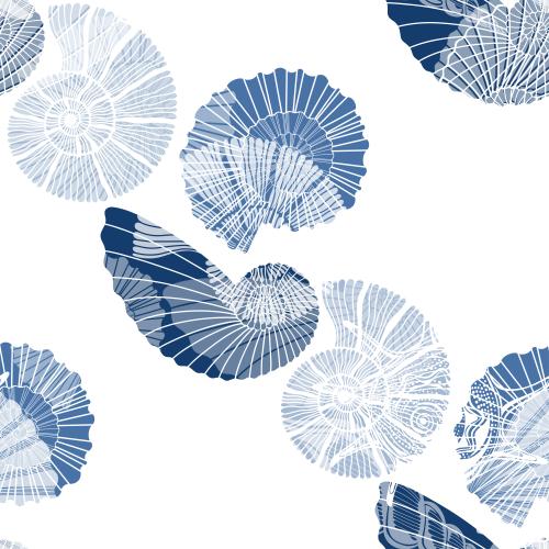 Nautilus. Vektor Nautili auf Weiss