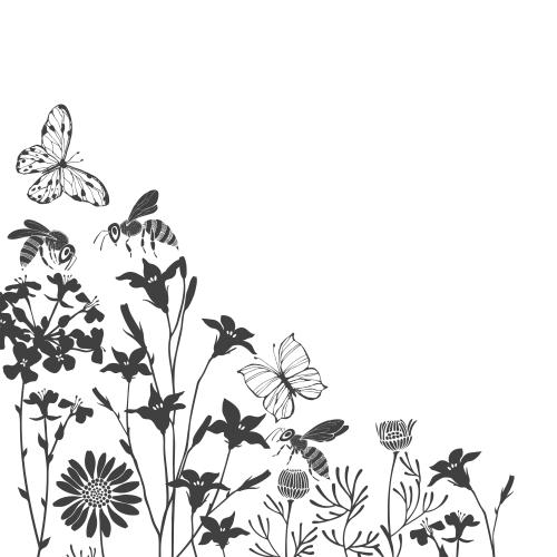 Klee. Vektor Schmetterlinge, Bienen, Wiesenblumen, Textfeld, Silhouetten auf weissem