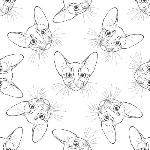 Schwarz-weiße. Vektor abyssinische Katzen, schöne Gesichter auf weißem