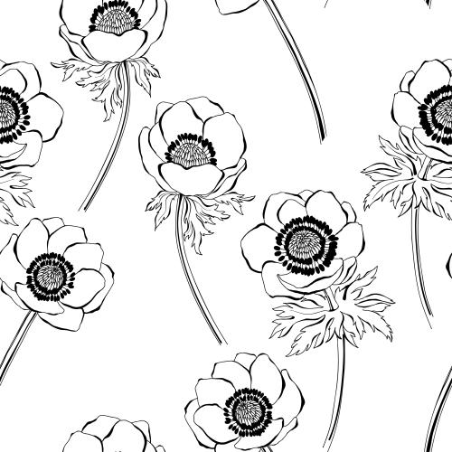 Anemone. Vektor anemone auf weißem