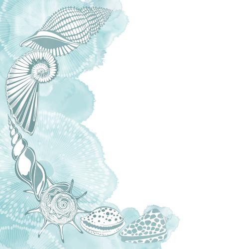 Nautilus. Vektor Nautili, Muscheln, Unterwasser-Kreaturen, Aquarellfragment, Platz für Text auf weißem