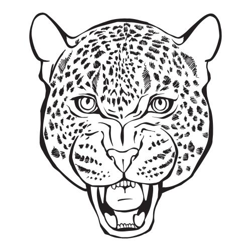 Leopard. Vektor Leopardenkopf auf weißem