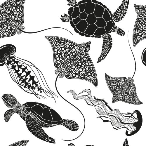 Vektorgrafik schildkröten rochen und quallen auf weißem