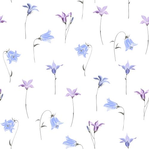 Vektorgrafik blumen kapuzinerblumen auf weißem