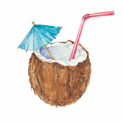 Frucht. Vektor Kokoscocktail auf weißem