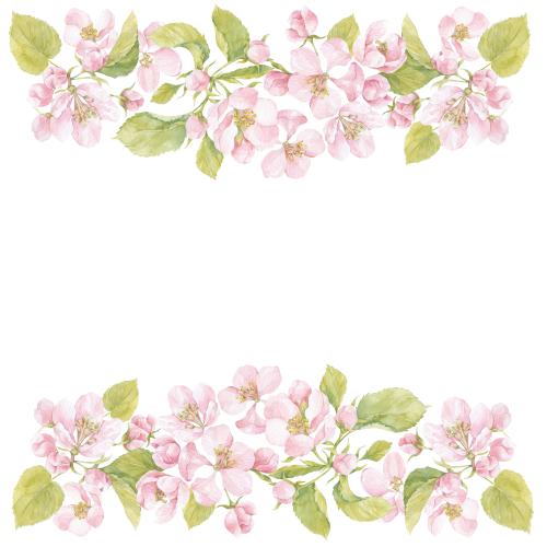 Rasterbild aquarellblumen und aquarellblätter der apfelbäume, platz für text auf weißem