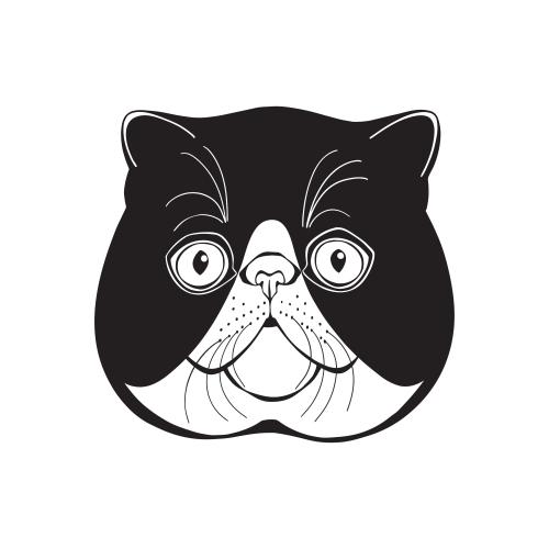 Exotic shorthair. Vektor die exotische Katze, süßes Gesicht auf weißem