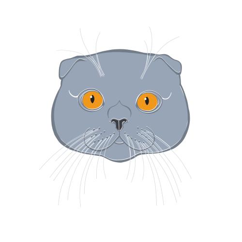 Vektorgrafik schottische schlappohrkatze, buntes, liebliches gesicht auf weißem