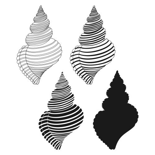 Vektorgrafik muscheln auf weißem, vier varianten