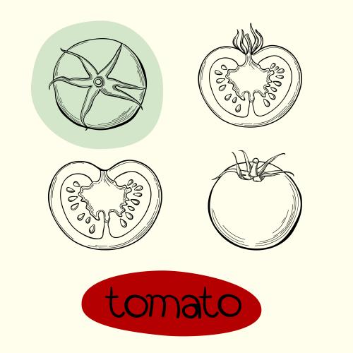 Tomate. Vektor Tomaten, vier isolierte Elemente auf weißem