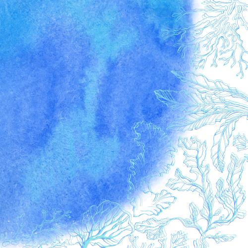 Alge. Vektor Algen, Korallen, blauer Aquarellfragment mit Platz für Text