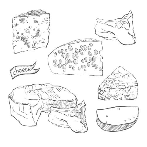 Käse. Vektor sechs Sorten Käse, Konturzeichnung, Sketch auf weißem